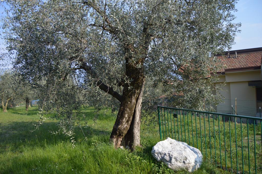 La Casetta توسكولانو ماديرنو المظهر الخارجي الصورة